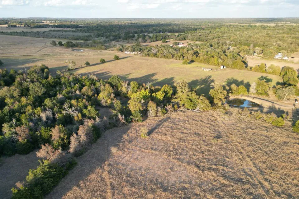 Aerial view of open pasture, a tree line and a small stock pond in late-afternoon light