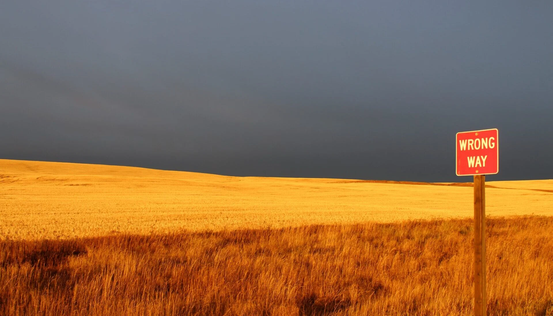 For sale sign in a harvested field beneath dark storm clouds
