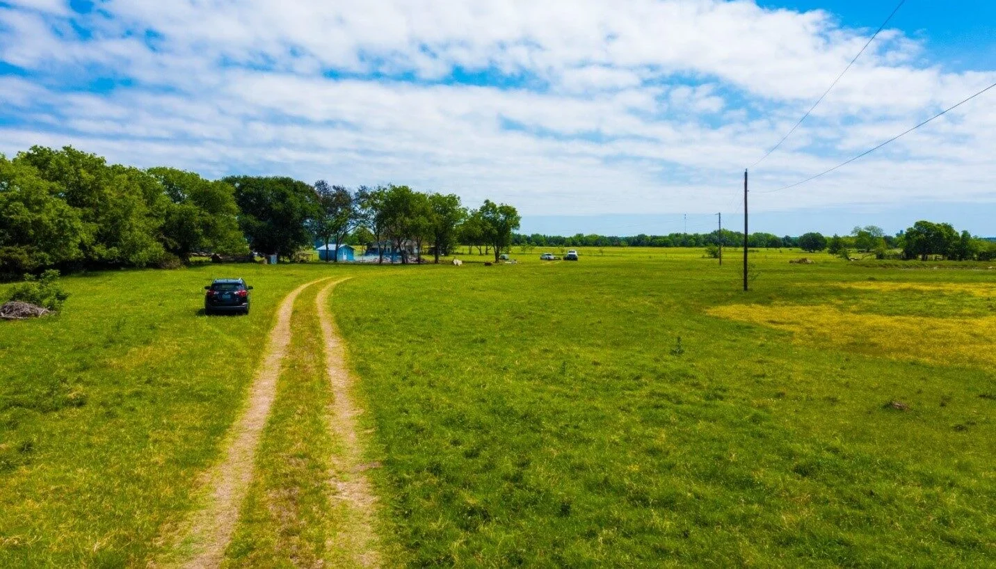 Open green field bordered by trees